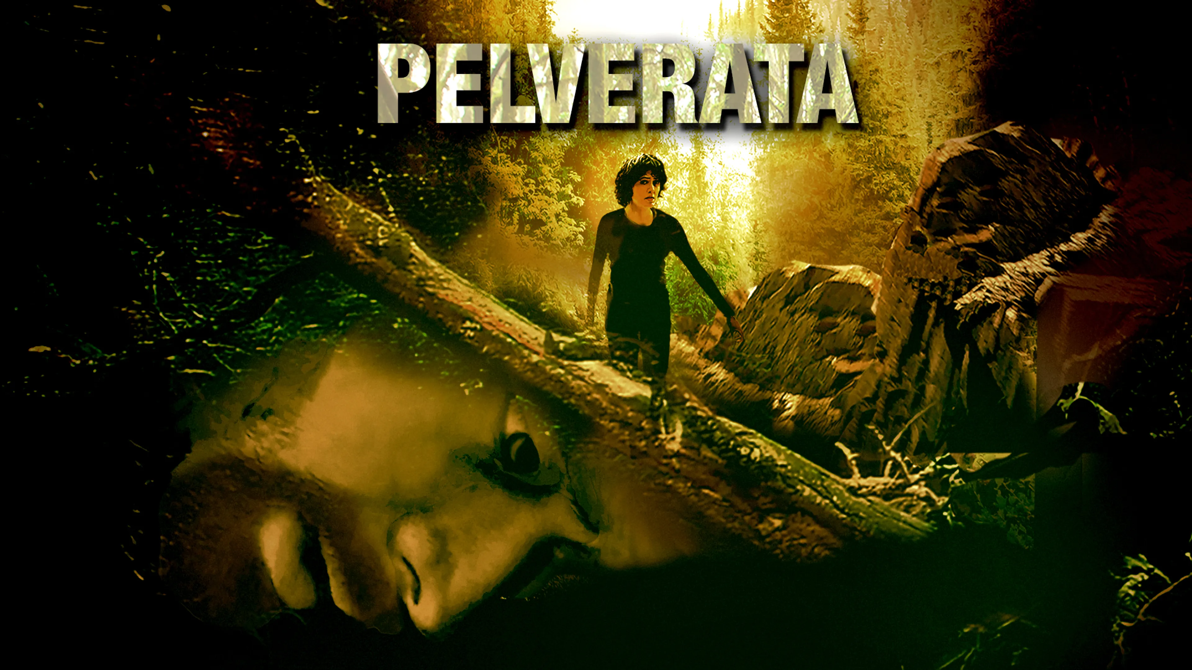 Pelverata poster